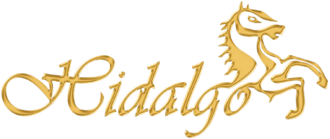 Hidalgo Sattel